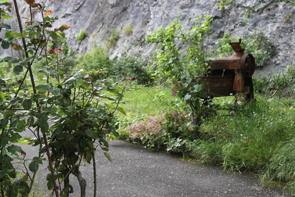 Muriances Vilde ภายนอก รูปภาพ